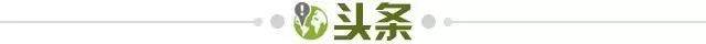 开云移动-【早报】意大利连续三届无缘世界杯！